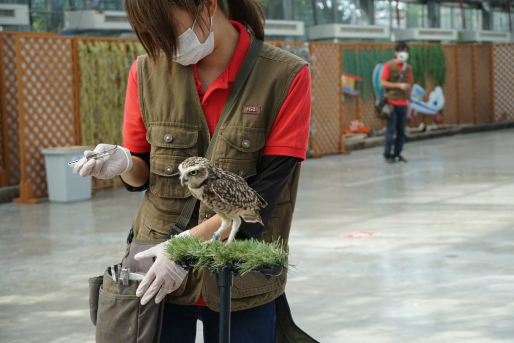 こんなに近くで未知の鳥たちと触れ合える 掛川花鳥園 のショー エサやり体験が超絶楽しい ぼっち暮らし